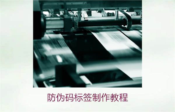 防伪码标签制作教程2.jpg