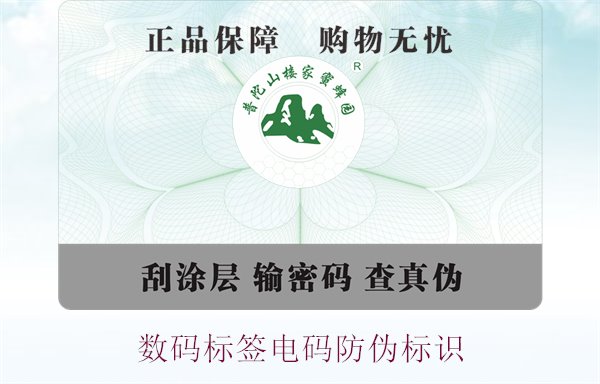 数码标签电码防伪标识(图1)