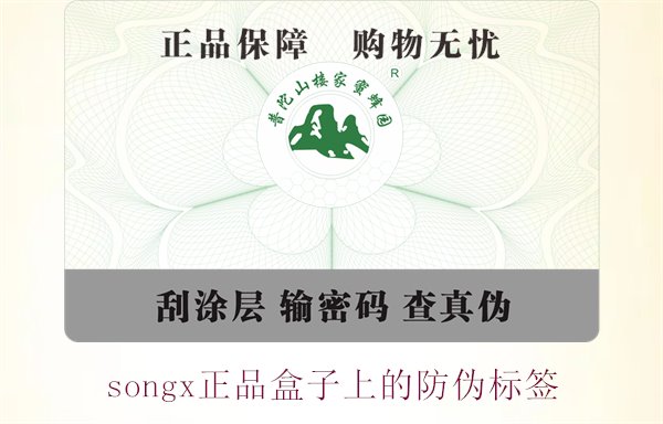 songx正品盒子上的防伪标签(图1)