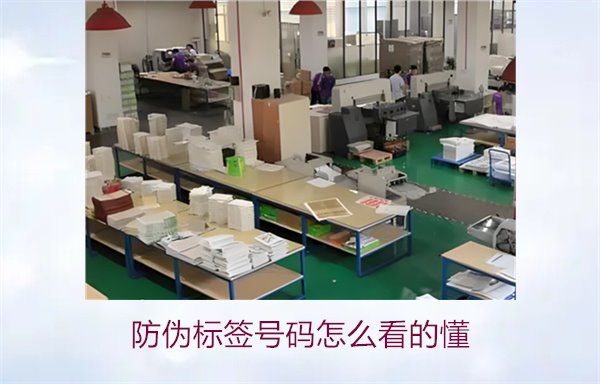 防伪标签号码怎么看的懂？详细解析防伪标签号码的识别方法与技巧(图2)