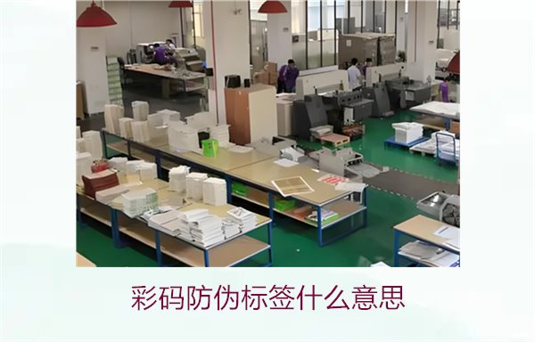 彩码防伪标签什么意思？解析彩码标签的防伪原理与应用(图2)