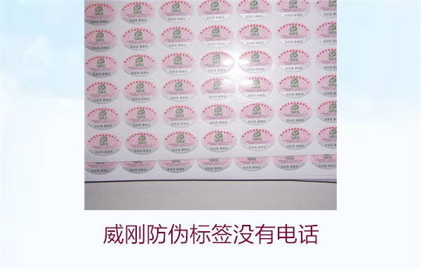 威刚防伪标签没有电话，如何通过其他方式验证威刚防伪标签的真伪(图3)